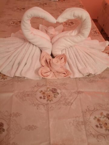 THE MAGIC THAI MASSAGE מסאז תאילנדי מסורתי מקצועי